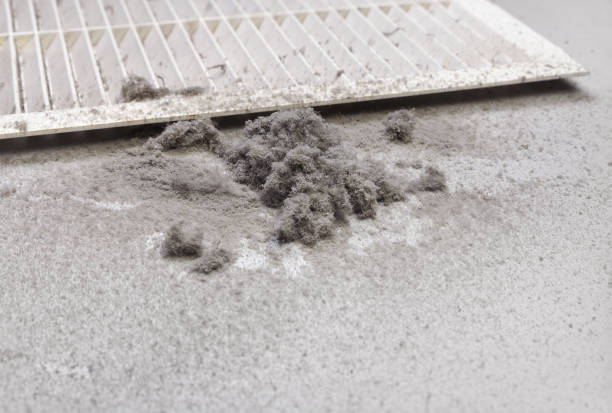 Best Affordable Air Duct Cleaning  in Elim, PA